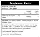 SNS: Prime XT, 180 Capsules